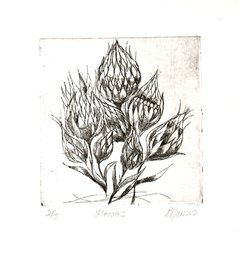 Flowers Etching