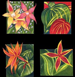 A Variety of Flowers