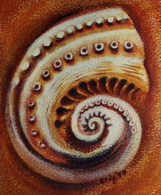 Abstract / Nature / Beach